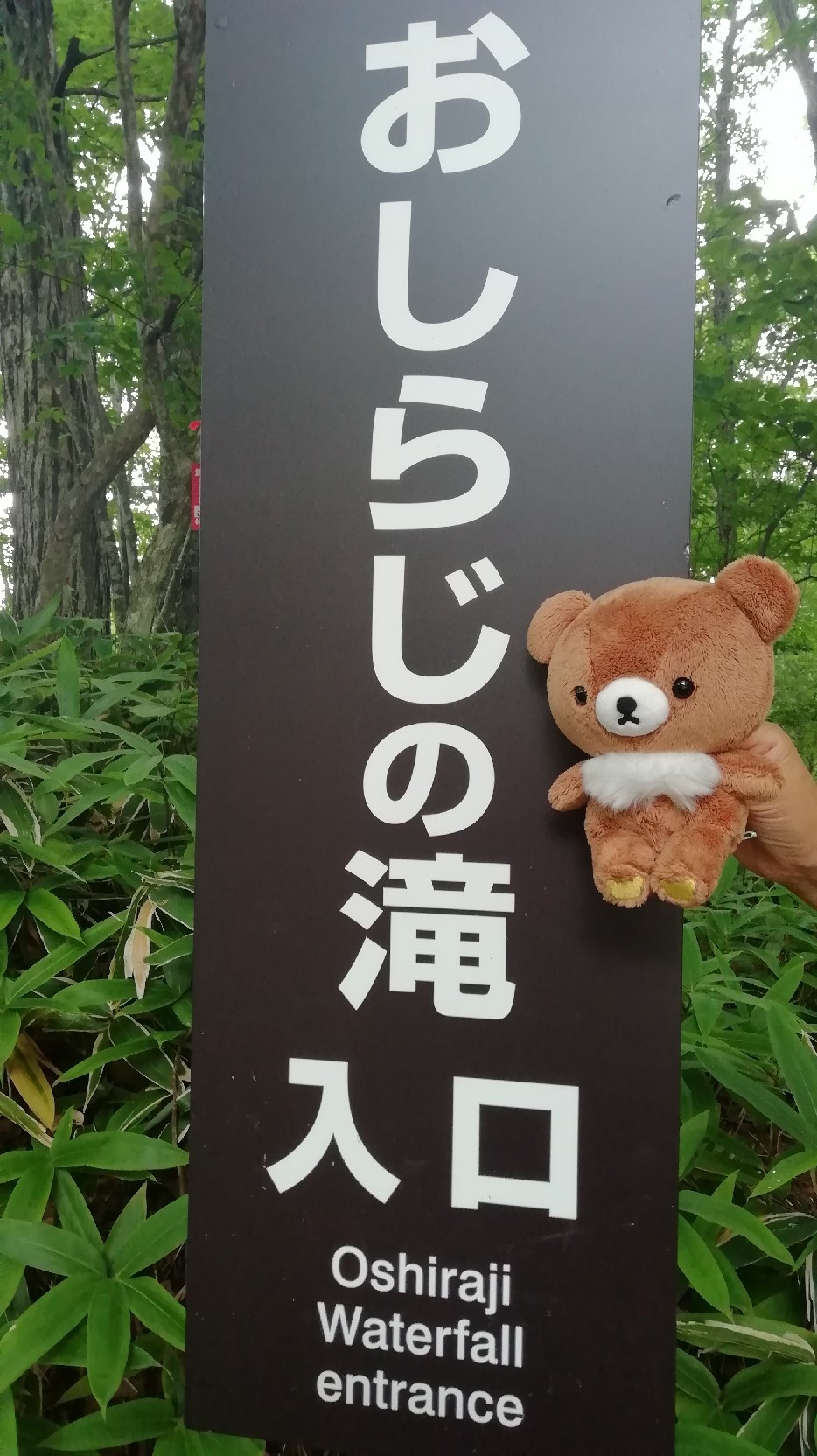 ★コグマ旅 in 栃木県 ★_f0351775_20095422.jpg