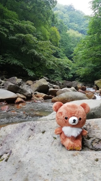 ★コグマ旅 in 栃木県 ★_f0351775_20111101.jpg