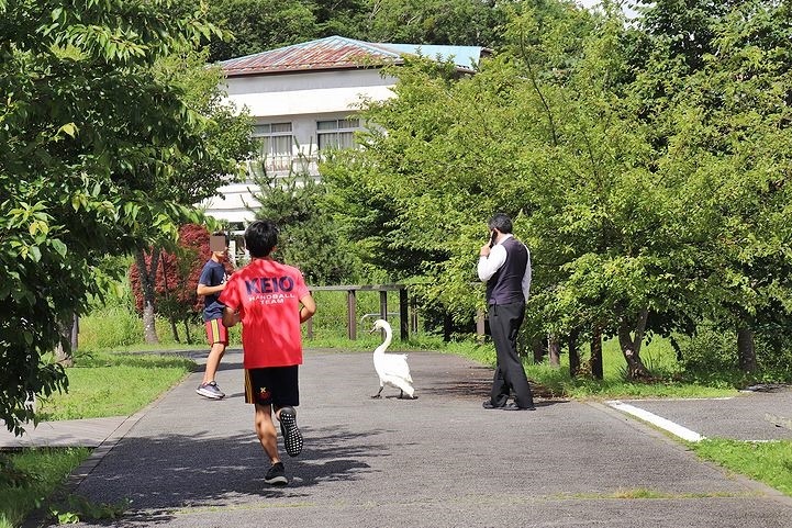 ⑫絶景のはずの山中湖交流プラザきらら。_b0111376_22205395.jpg