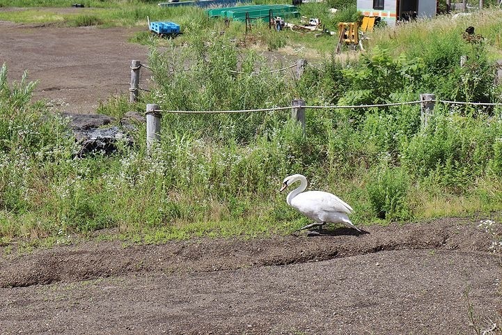 ⑫絶景のはずの山中湖交流プラザきらら。_b0111376_22231362.jpg