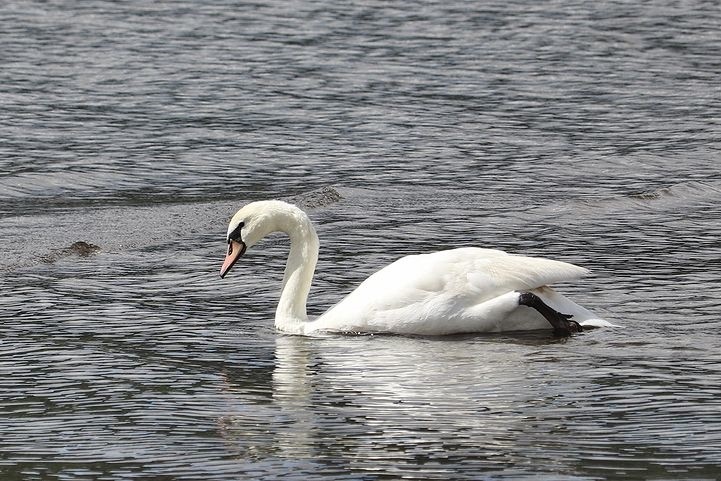 ⑫絶景のはずの山中湖交流プラザきらら。_b0111376_22280797.jpg