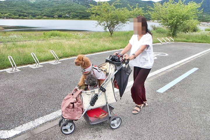 ⑫絶景のはずの山中湖交流プラザきらら。_b0111376_22303677.jpg