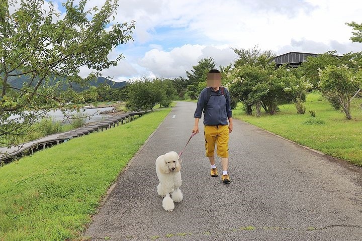 ⑫絶景のはずの山中湖交流プラザきらら。_b0111376_22322297.jpg