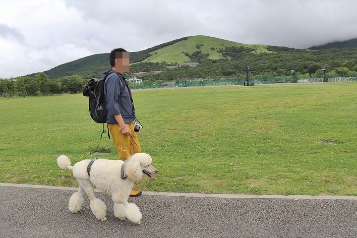 ⑫絶景のはずの山中湖交流プラザきらら。_b0111376_22332572.jpg