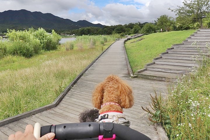 ⑫絶景のはずの山中湖交流プラザきらら。_b0111376_22345436.jpg