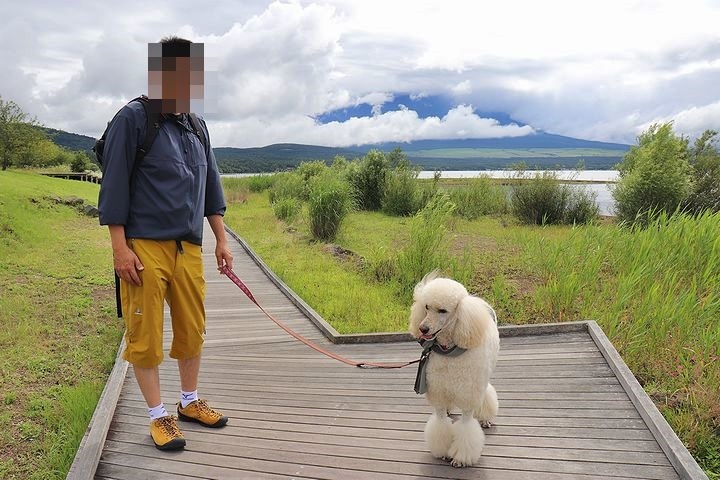 ⑫絶景のはずの山中湖交流プラザきらら。_b0111376_22393246.jpg