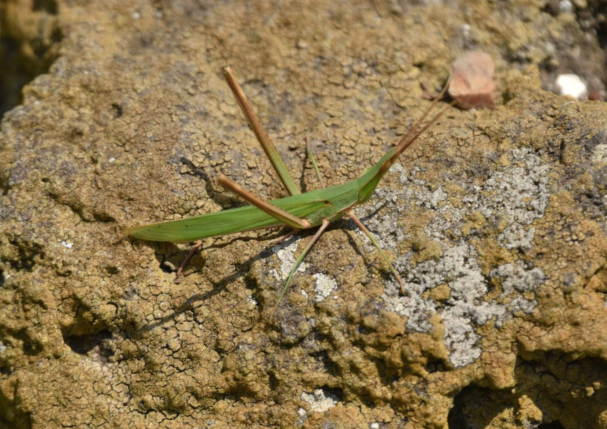 b0163381_08012045.jpg
