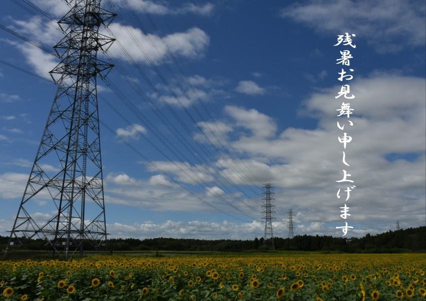 b0163381_08135065.jpg