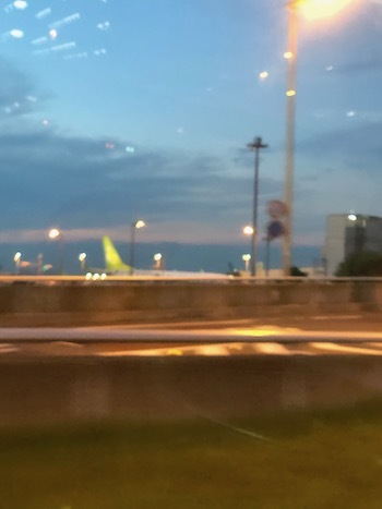 2019台風レキマーの話_a0191183_05353244.jpeg