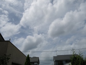 e0130185_1154092.jpg