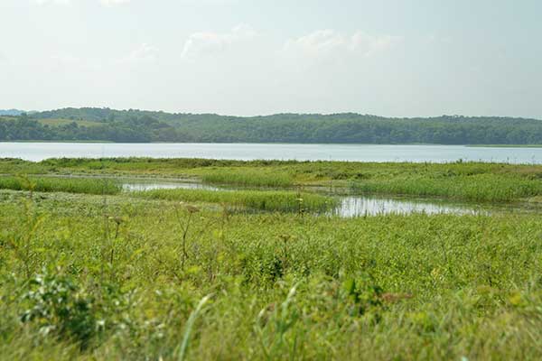 f0212586_2048518.jpg