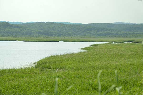 f0212586_2049164.jpg