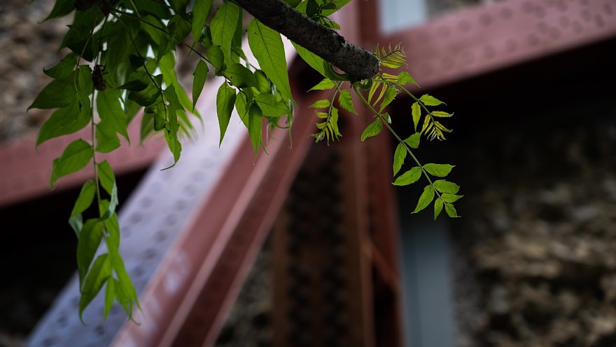 廃校のプールにそそり立つ壁 Soul Eyes