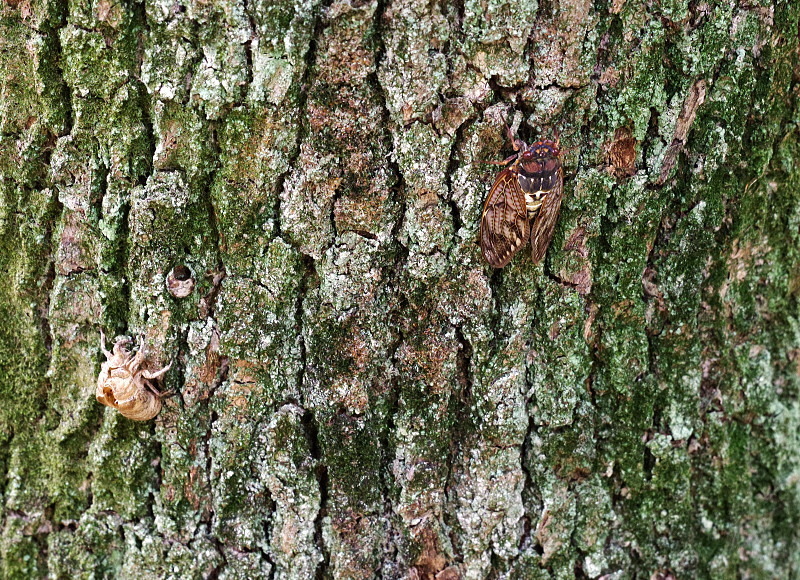 a0211291_09113901.jpg