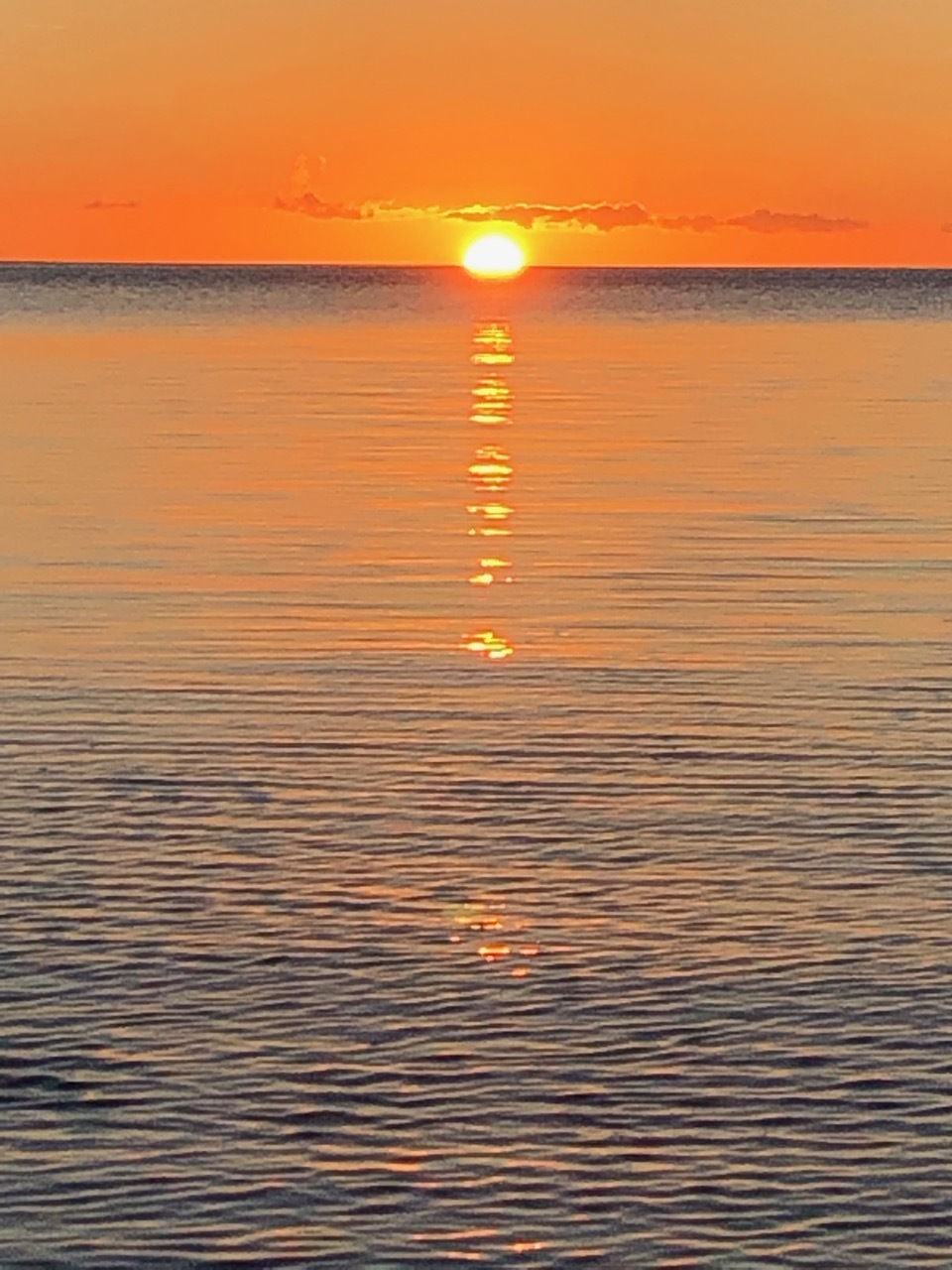 Ishigaki  Island  /   充実な5日間の八重山旅行_b0195093_07224269.jpg