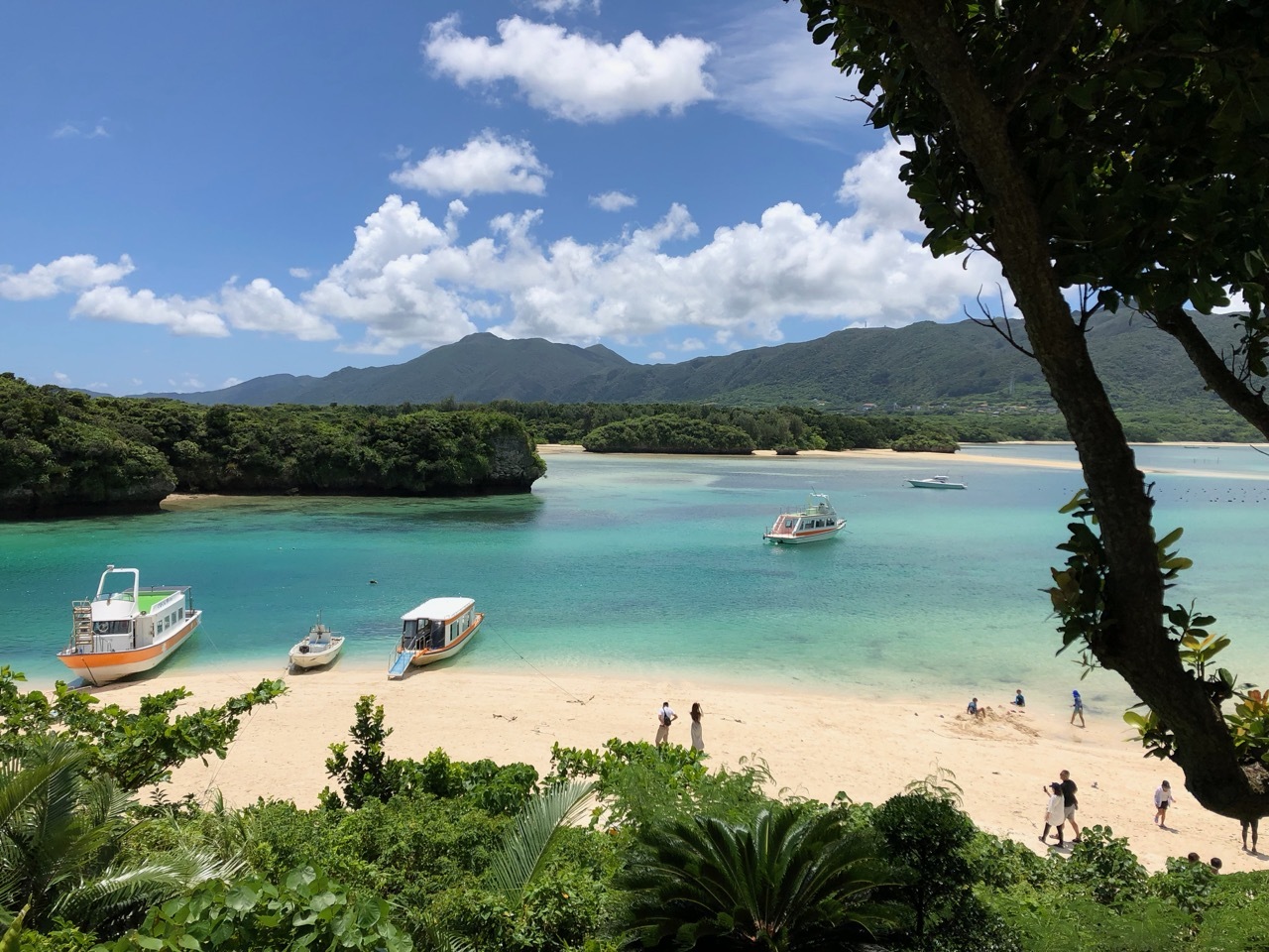 Ishigaki  Island  /   充実な5日間の八重山旅行_b0195093_07251385.jpg