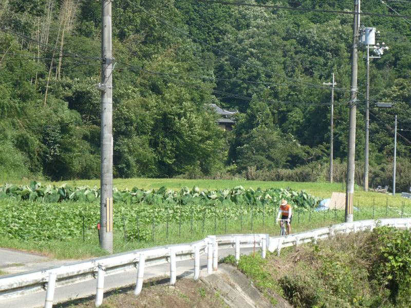 d0383596_22500302.jpg