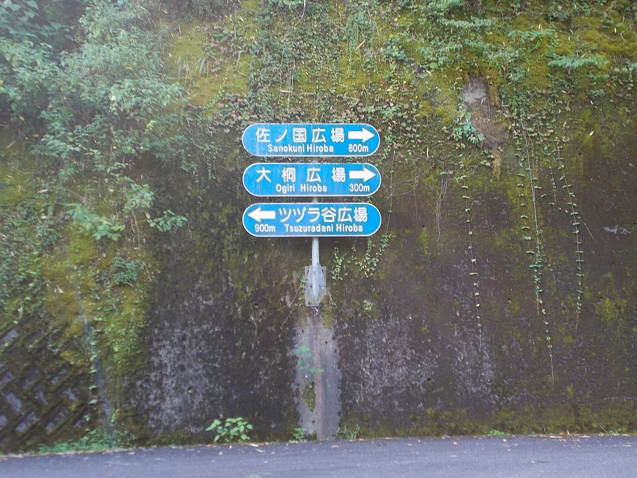 半山越(1/3)【堂林の滝】(越知町～旧東津野村)_f0308898_15234965.jpg