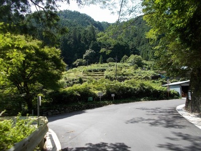 半山越(1/3)【堂林の滝】(越知町～旧東津野村)_f0308898_15261359.jpg