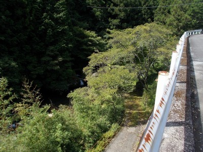 半山越(1/3)【堂林の滝】(越知町～旧東津野村)_f0308898_15261467.jpg