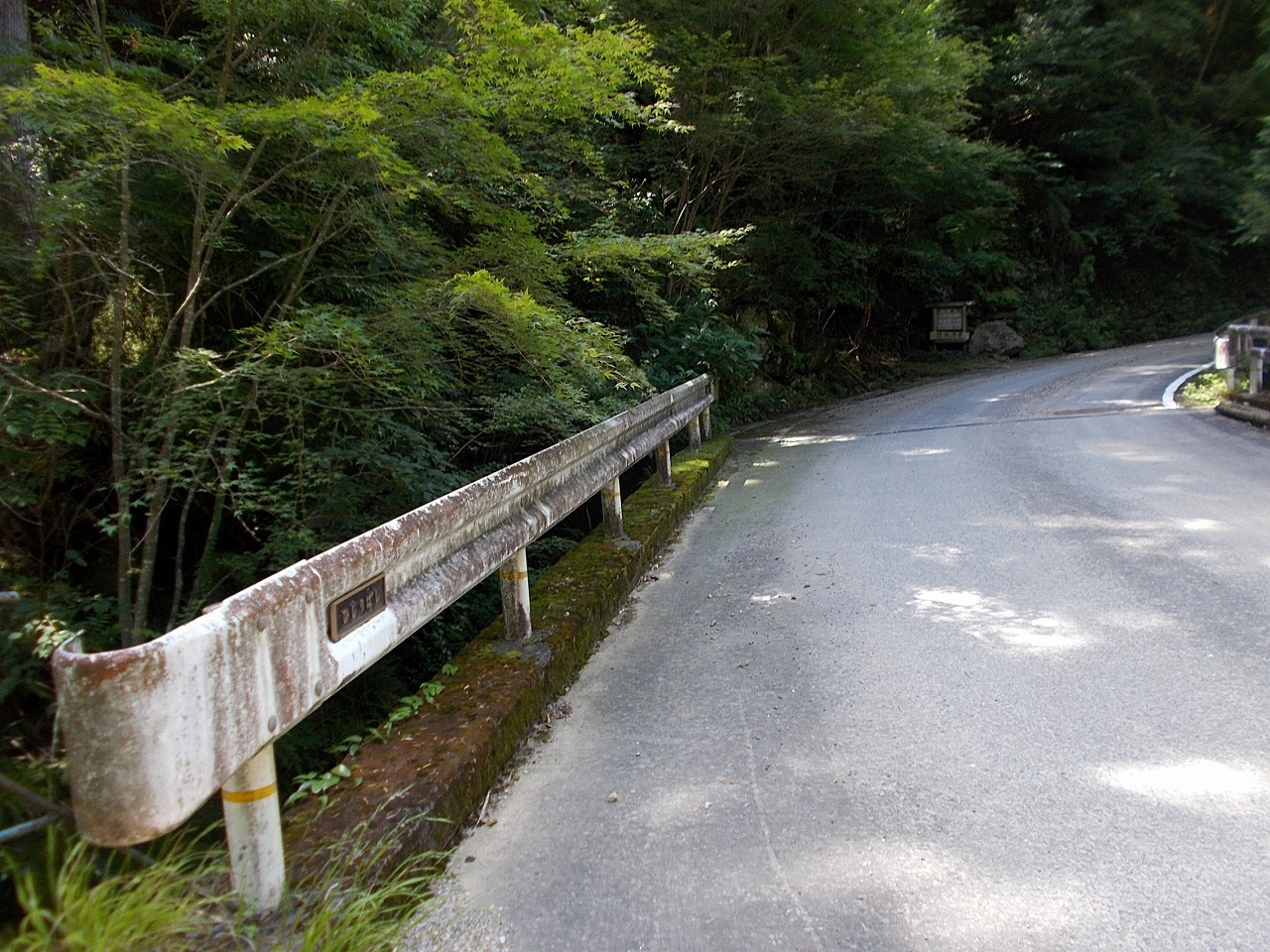 半山越(1/3)【堂林の滝】(越知町～旧東津野村)_f0308898_15294960.jpg