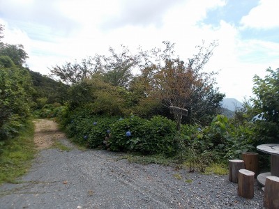 半山越(1/3)【堂林の滝】(越知町～旧東津野村)_f0308898_15331395.jpg