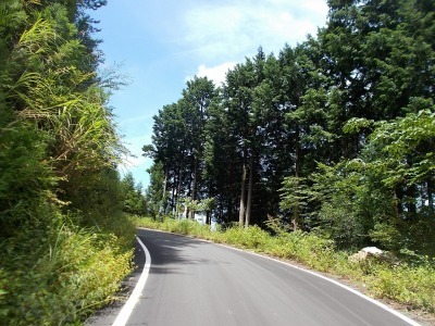 f0308898_16041736.jpg