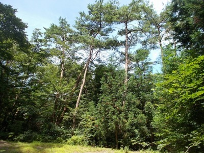 f0308898_16041748.jpg