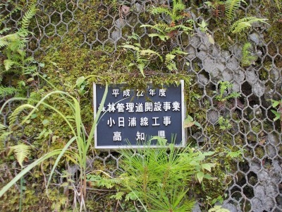 f0308898_16041868.jpg