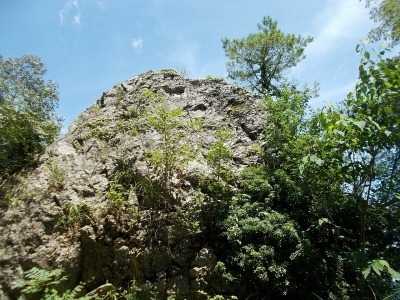 f0308898_16045700.jpg