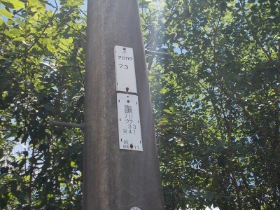 f0308898_16053531.jpg