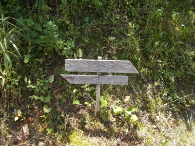 f0308898_16053768.jpg