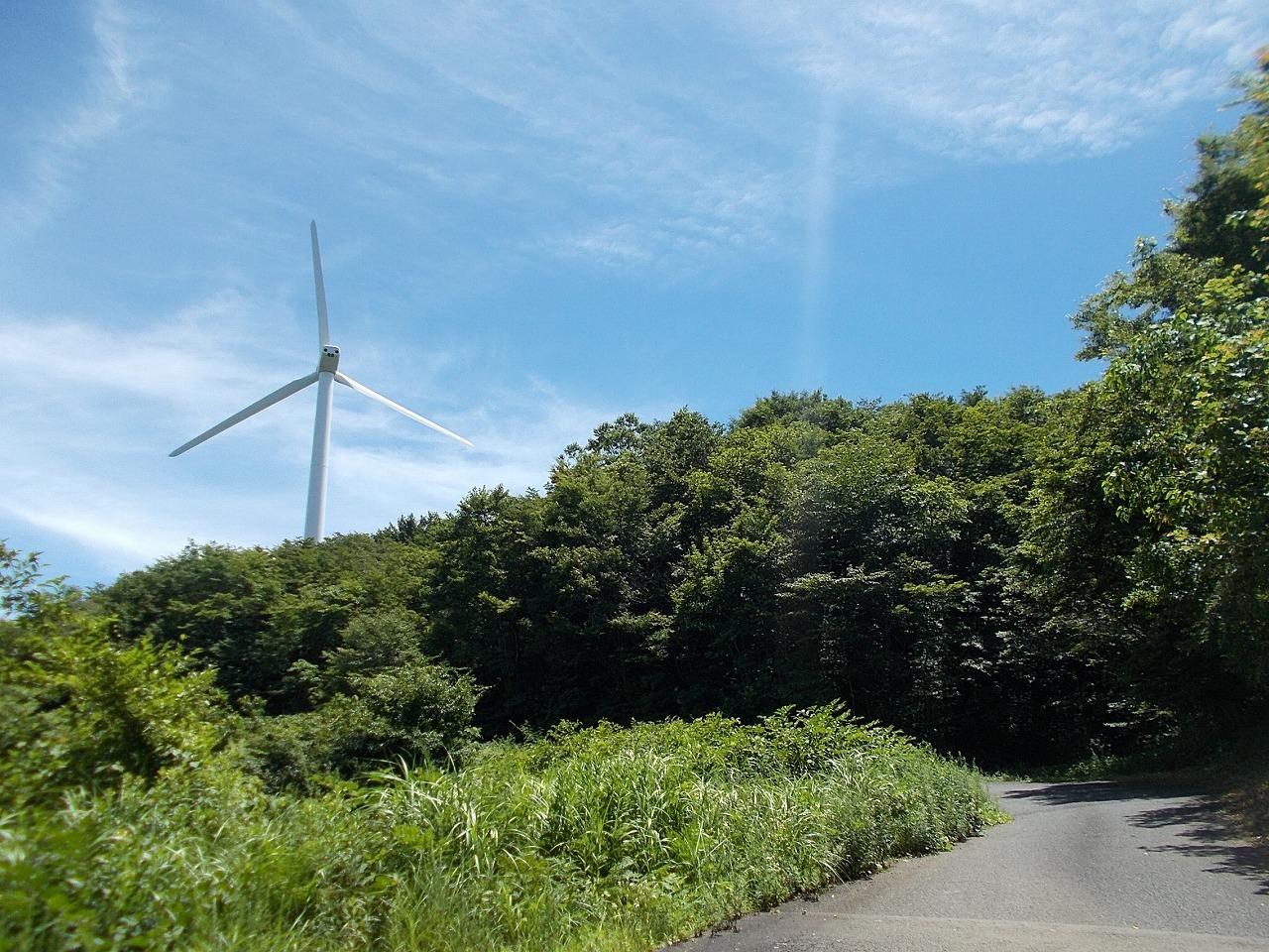 f0308898_16053863.jpg