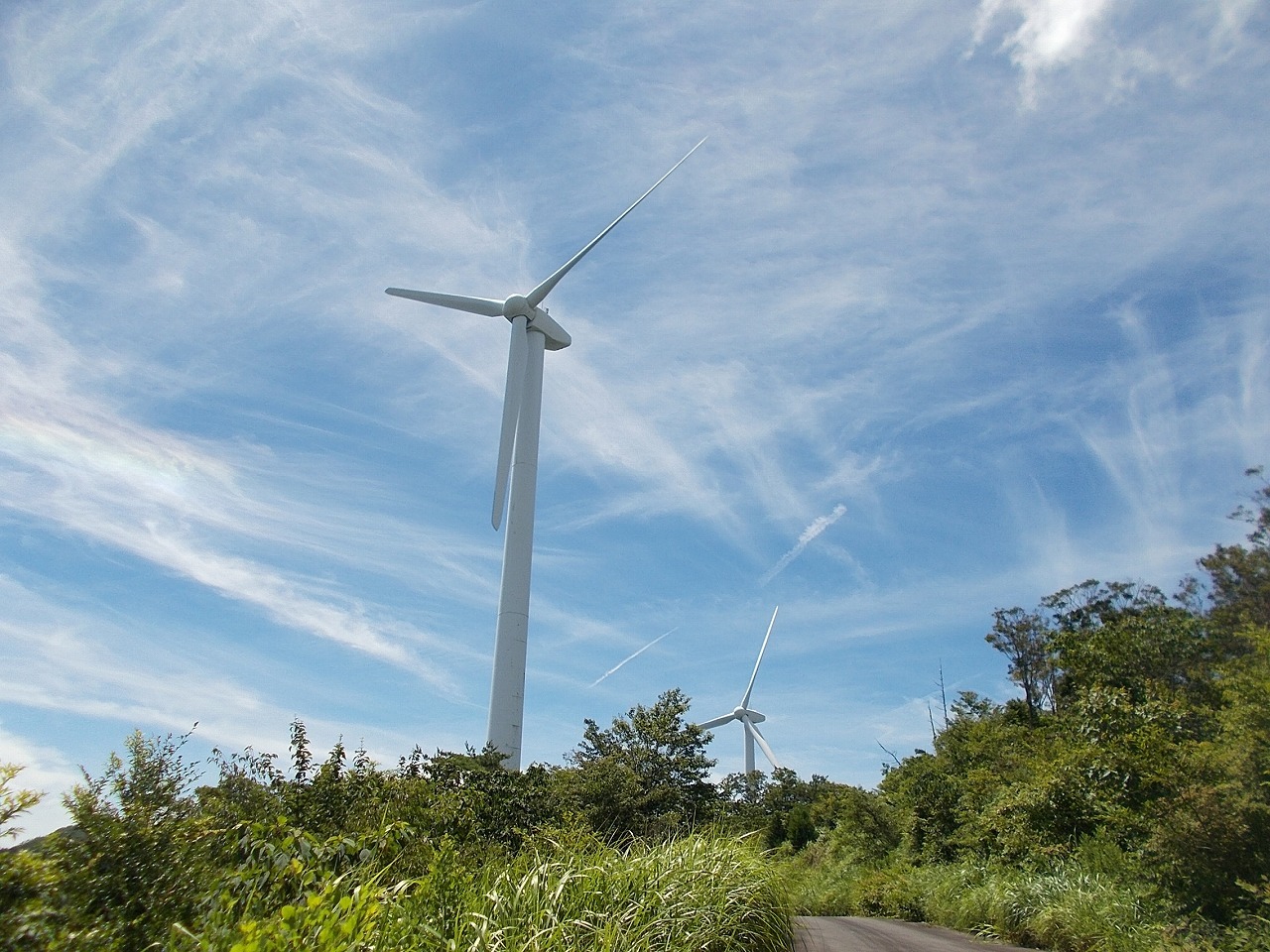 f0308898_16093531.jpg