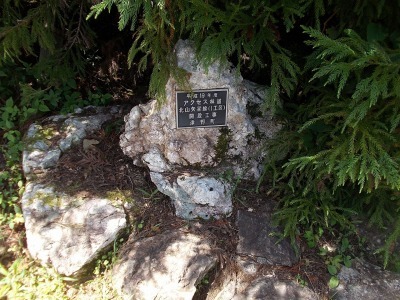 f0308898_16093713.jpg
