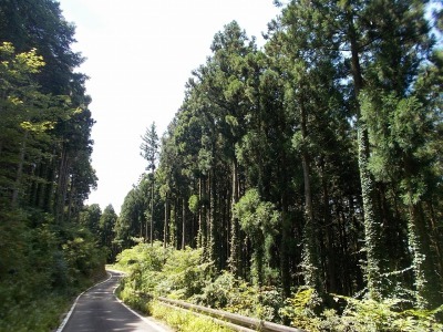f0308898_16185515.jpg