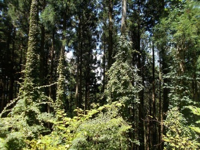 f0308898_16185565.jpg