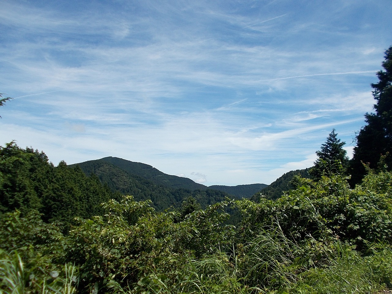 f0308898_16222878.jpg