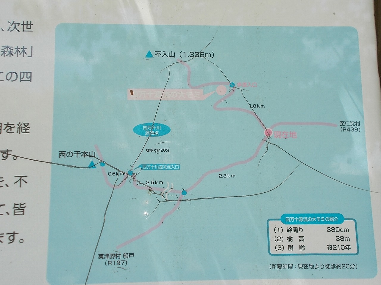 f0308898_16232846.jpg