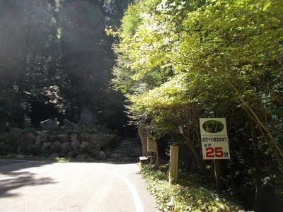 f0308898_16241978.jpg