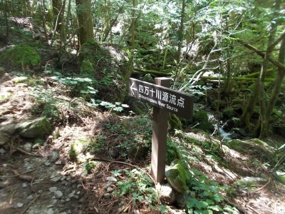 f0308898_16242119.jpg