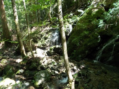 f0308898_16251949.jpg