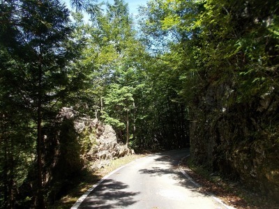 f0308898_16252013.jpg