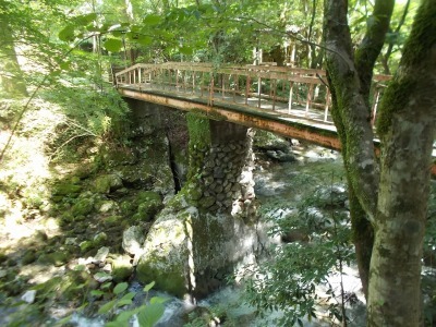 f0308898_16261278.jpg