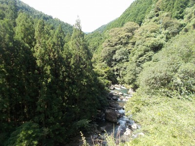 半山越(1/3)【堂林の滝】(越知町～旧東津野村)_f0308898_21222422.jpg