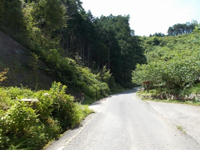 半山越(1/3)【堂林の滝】(越知町～旧東津野村)_f0308898_21564861.jpg