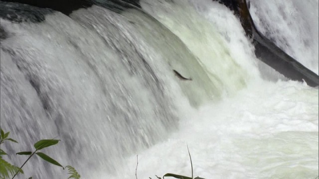 e0111299_17294973.jpg