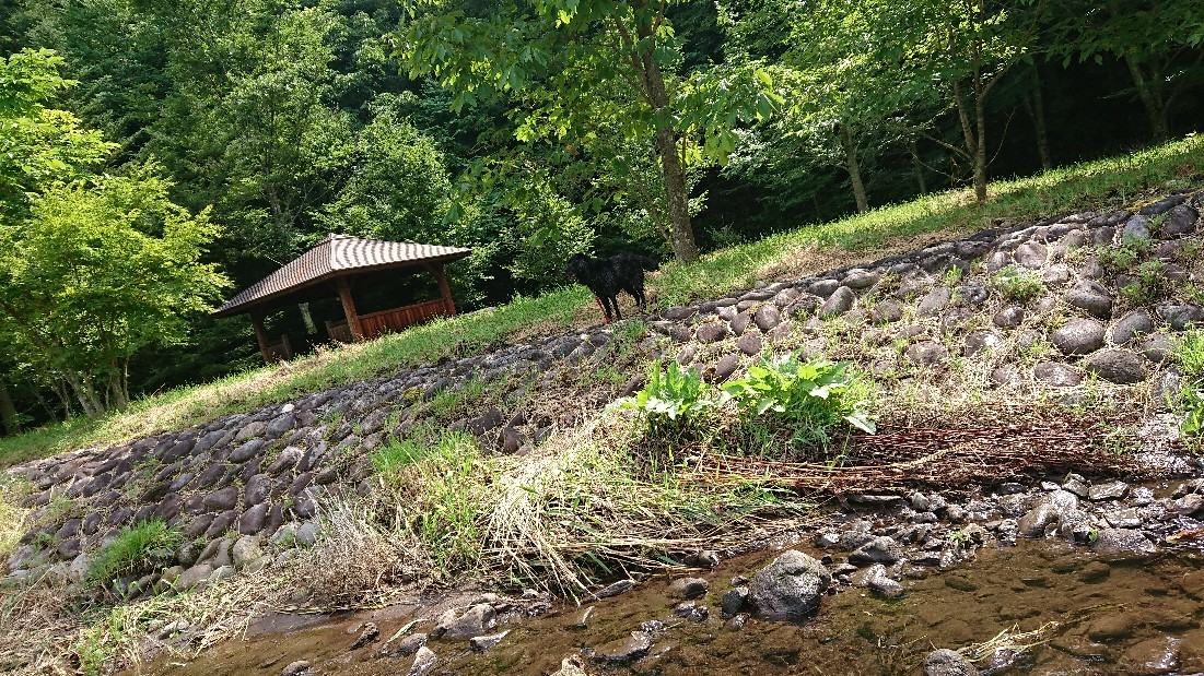 f0109202_15430599.jpg