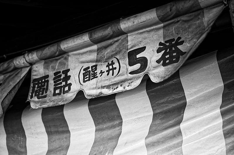 梅花藻@醒ヶ井 其の二_f0032011_20490968.jpg