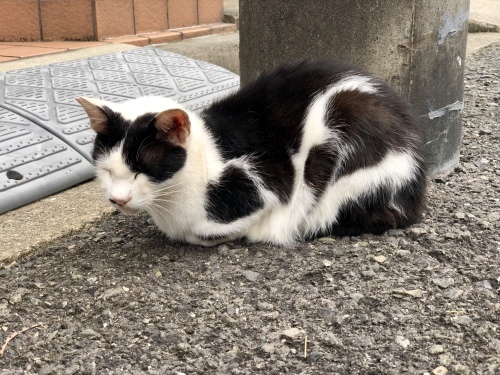 酷暑と台風_d0184114_19193171.jpeg